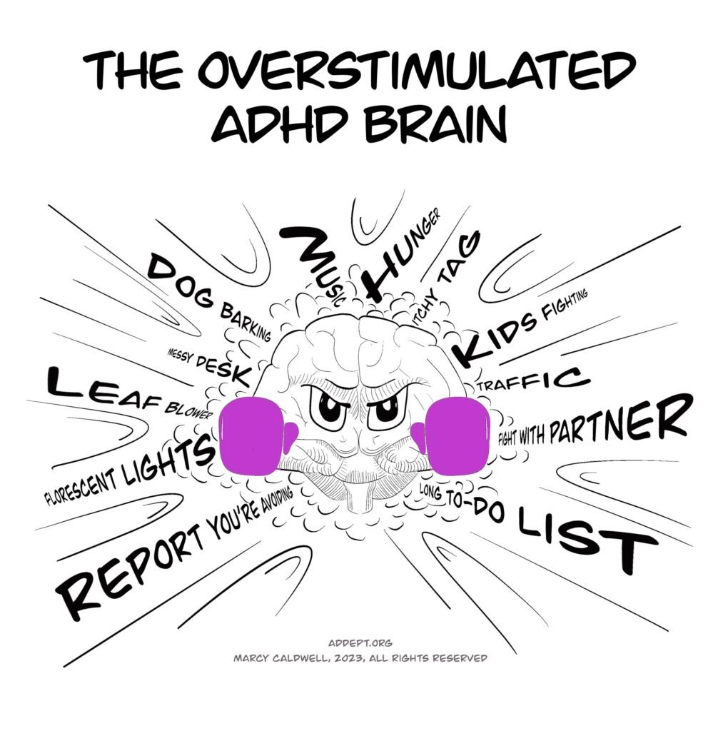 ADHD Brain Vs Normal Brain